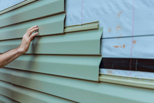 Best Fascia and Soffit Installation  in Oldsmar, FL